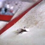 Fori verosimilmente riconducibili non a missili da guerra ma da esercitazione